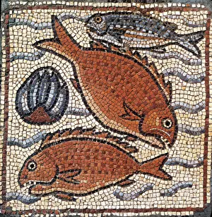 Mosaic Prints: Marine Fauna, Byzantine Mosaic, 6th Century