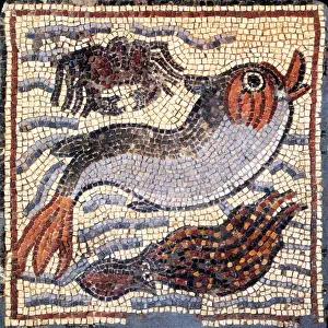 Mosaic Prints: Marine Fauna, Byzantine Mosaic, 6th Century