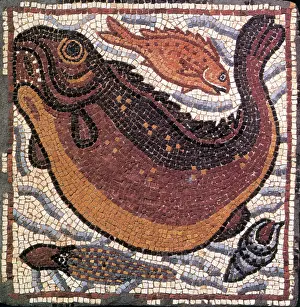 Roman Prints: Marine Fauna, Byzantine Mosaic, 6th Century