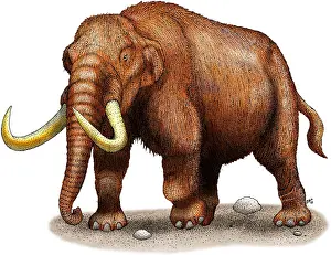 Extinct Prints: Mastodon