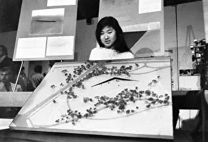 Arts Prints: Maya Lin, American Architect
