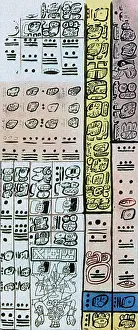 Best Sellers Part IV Prints: Mayan Number System, Codex Dresdensis