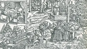 Flask Prints: Medical Herb Cultivation, 16th Century