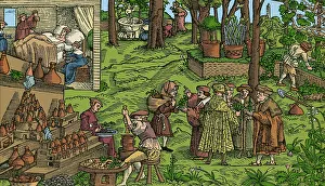 Flask Prints: Medical Herb Cultivation, 16th Century