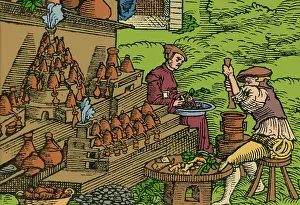 Middle Prints: Medical Herb Cultivation, 16th Century