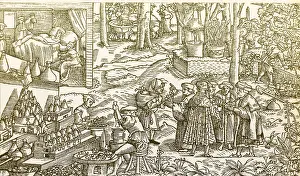 Flask Prints: Medical Herb Cultivation, 16th Century