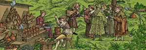 Flask Prints: Medical Herb Cultivation, 16th Century