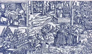 Flask Prints: Medical Herb Cultivation, 16th Century