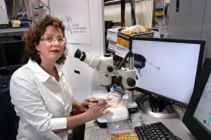 Research Prints: Medical Research Scientist at her Microscope, HIV AIDS Research