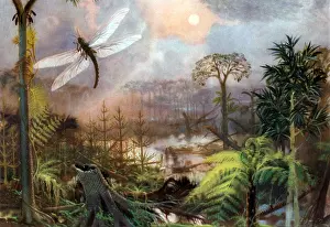 Environment Prints: Meganeura in Upper Carboniferous Landscape