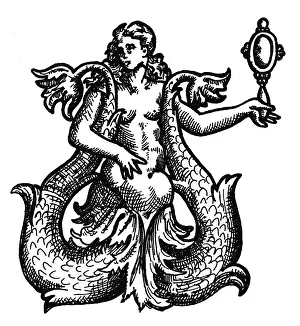 Anthropomorphism Prints: Mermaid, Legendary Creature