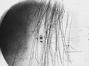 Accelerator Prints: Meson Decay in Bubble Chamber