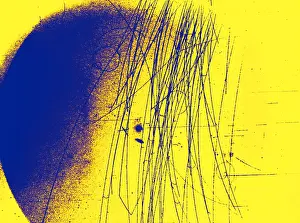 Accelerator Prints: Meson Decay in Bubble Chamber