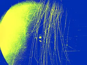 Accelerator Prints: Meson Decay in Bubble Chamber