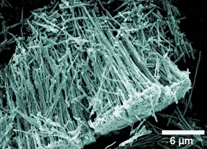Nist Prints: Metal-oxide Nanotubes, under a microscope (SEM)