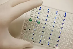 Test Prints: Microtiter Plate