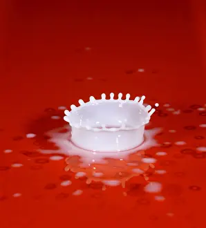Drop Prints: Milk Splash
