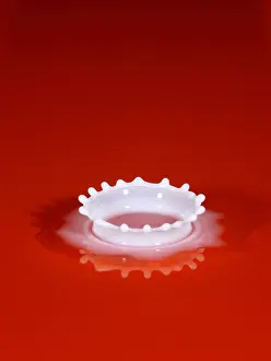 Drop Prints: Milk Splash