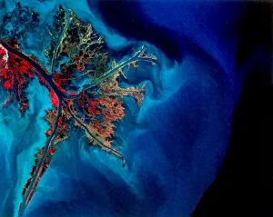 Earth Prints: Mississippi River, Louisiana
