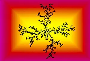 Research Prints: Model of aggregation