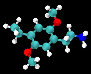 Graphics Prints: Molecular Model of 2C-E