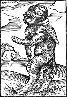 Beast Prints: Monk Calf, Reformation Monster