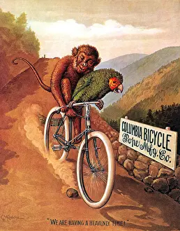 Prints of Cassius Marcellus Coolidge (September 18, 1844 - January 24, 1934) was an American artist, mainly known for his series of paintings Dogs Playing Poker History Prints: Monkey Riding aColumbia Bicycle Poster, C.M. Coolidge, 1895, Vintage Advertisement