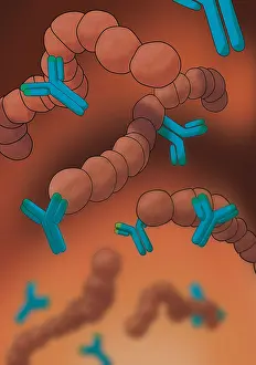 Treatment Prints: Monoclonal Antibodies, Illustration