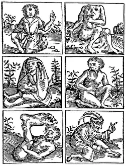 Middles Prints: Monsters of Land, Sea and Air, 1475