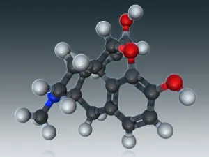 Atomic Prints: Morphine Molecular Model