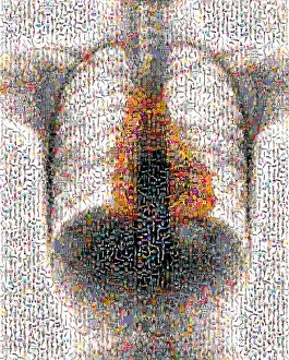 Mosaic Prints: Mosaic of Chest X-Ray
