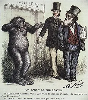 Cruelty Prints: Mr. Bergh to the Rescue