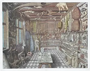 Collection Prints: Museum Wormianum, Curiosity Cabinet, 1655