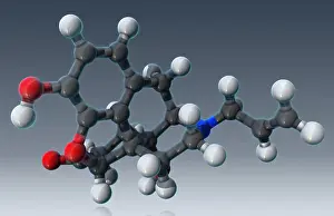Medication Prints: Naloxone, molecular model