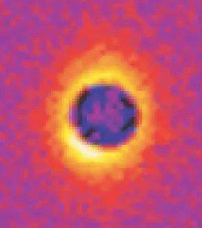 Scale Prints: Nanotechnology, Nanotube Sizing