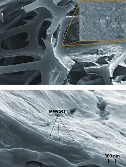 Scale Prints: Nanotubes, Flame-Resistant Coating, under a microscope (SEM)