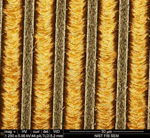 State Prints: Nanowires, Nanowalls, scanning electron micrograph