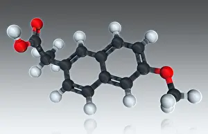 Stone Prints: Naproxen, Molecular Model