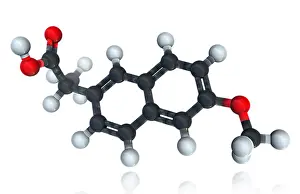 Stone Prints: Naproxen, Molecular Model