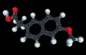 Stone Prints: Naproxen, Molecular Model