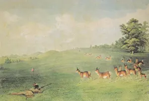 Cowboys, American West Prints: Native American Indian Hunting Antelope, 1860