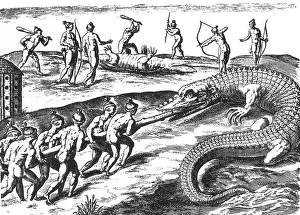 Jacques Prints: Native American Indians Crocodile Hunting, 16th Century
