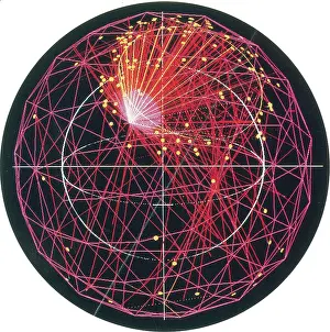 Subatomic Prints: Neutrino Tracks