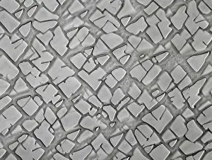 Material Prints: Nickel Alloy