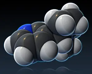 Atomic Prints: Nicotine Molecular Model