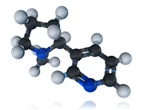 Atomic Prints: Nicotine Molecular Model