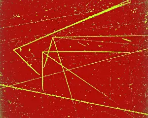 Accelerator Prints: Nuclear Particle Tracks