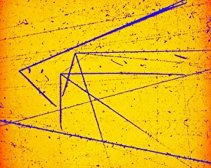 Accelerator Prints: Nuclear Particle Tracks