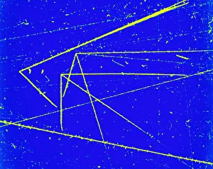 Accelerator Prints: Nuclear Particle Tracks