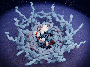 Nuclear Prints: Nuclear pore